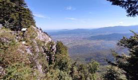 29062025 pljesevica