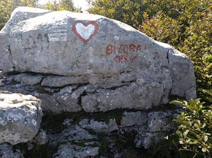 bitoraj