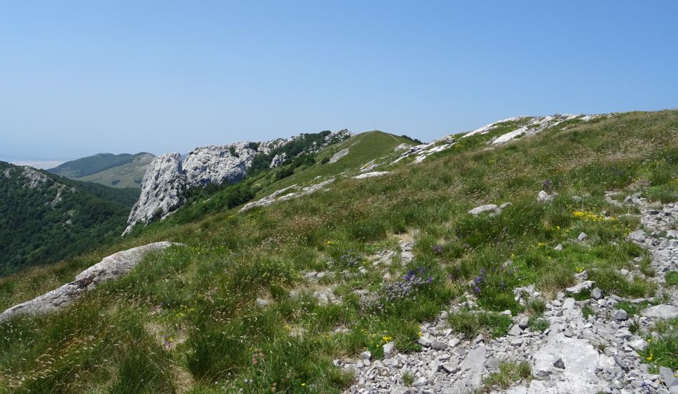 2504 26042026 velebit