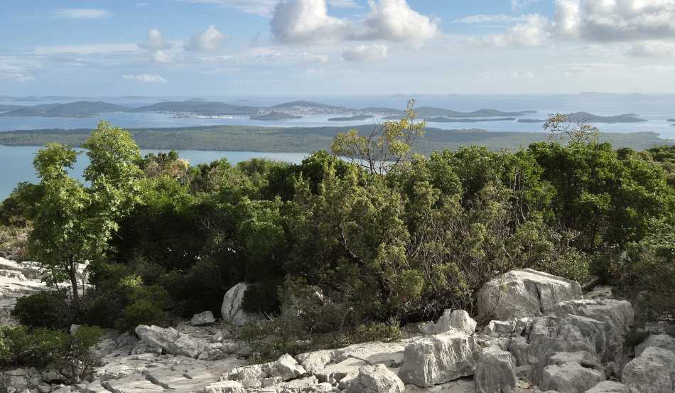 2803 29032026 vransko pasman