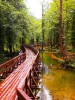 jajce8