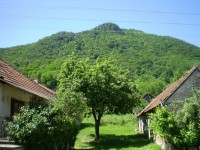 01032020 cevo