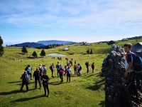 velika planina