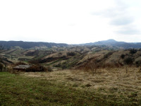 P3200046