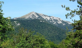 04102026 sadikovac