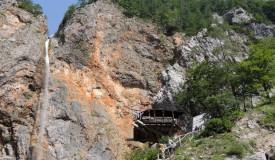 08032026 logarska1