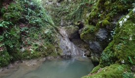 0808 09082026 zumberak radna akcija