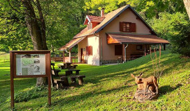 18012026 cesargradska gora