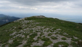 24052026 vaganski