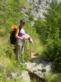 ivana velebit